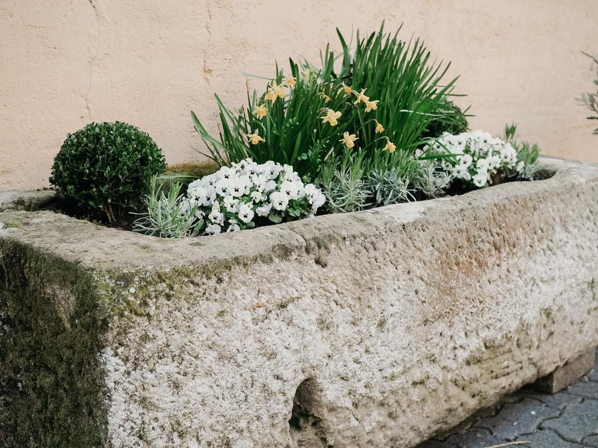 B&B Roudenhaff Echternach Zewnętrze zdjęcie