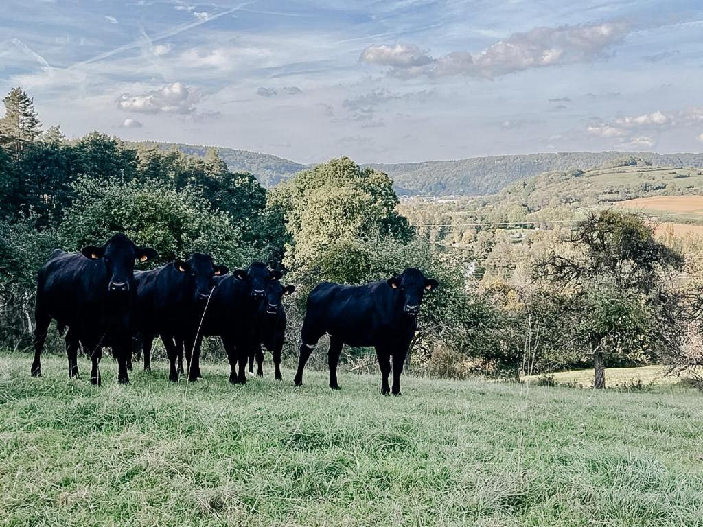 B&B Roudenhaff Echternach Zewnętrze zdjęcie