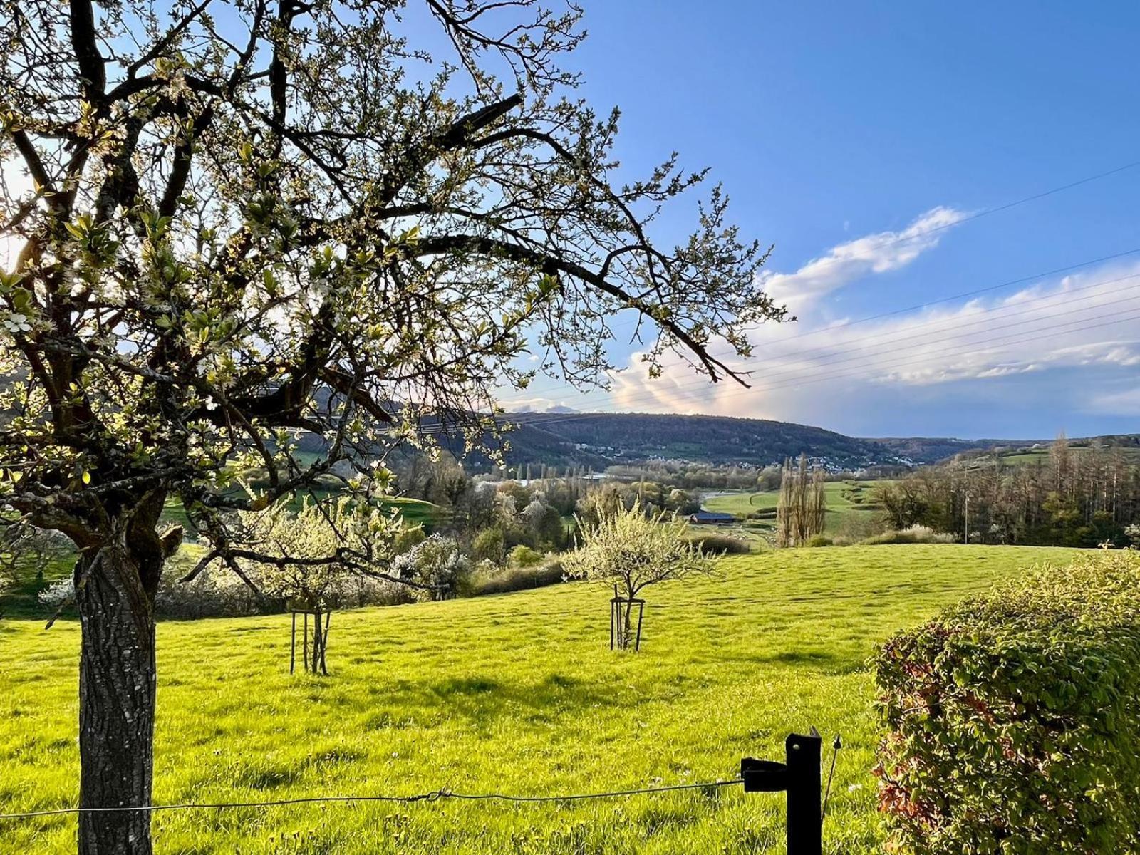 B&B Roudenhaff Echternach Zewnętrze zdjęcie